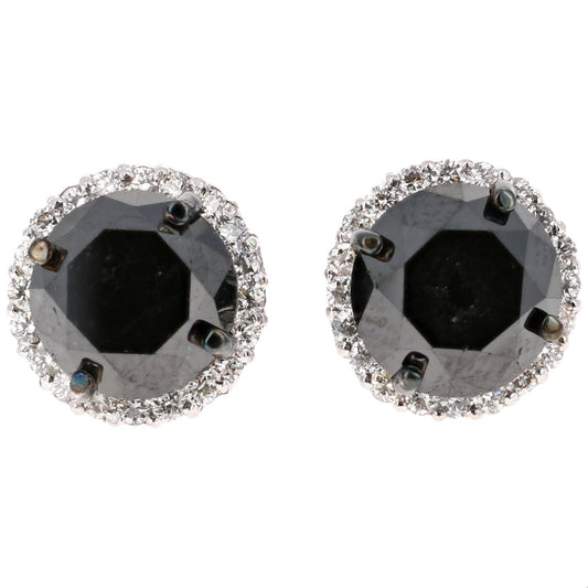 5.57 Carat Black Diamond 14 Karat White Gold Earring Studs