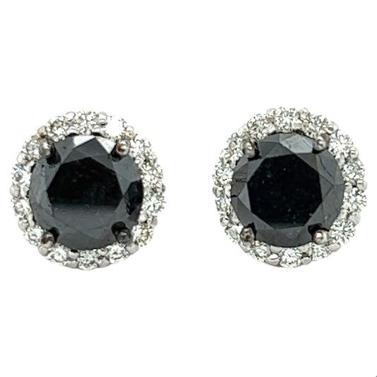 6.48 Carat Black Diamond White Diamond White Gold Earring Studs